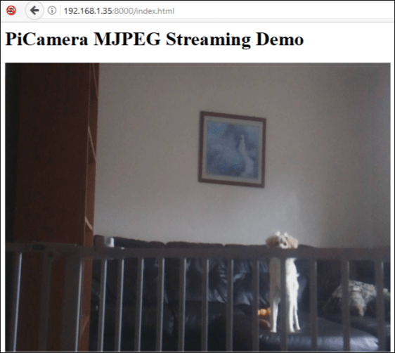 Android Pi Zero Mirror 5