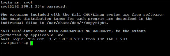 Kali Linux Pi Zero 4